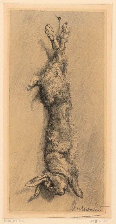 Garenne Rabbit tekijältä Felix Bracquemond