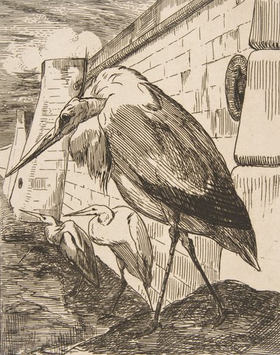 Haikarat, 1870-luvut, 1870-luvut. tekijältä Felix Bracquemond