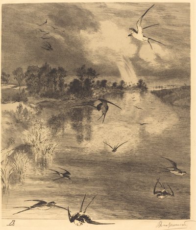 Les Hirondelles (Pääskyset) tekijältä Felix Bracquemond