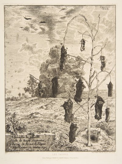 Myyrät, 1854. tekijältä Felix Bracquemond