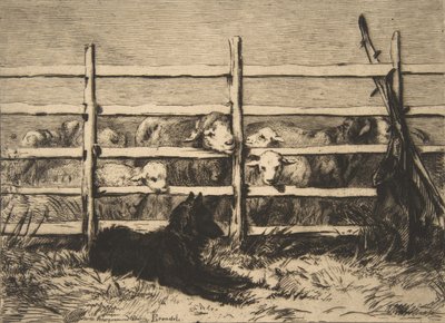 Paimetut lampaat, 1856. tekijältä Felix Bracquemond