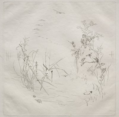 Pariisilainen palvelu (Haviland-palvelu): Rauhallinen (nro 3) tekijältä Felix Bracquemond