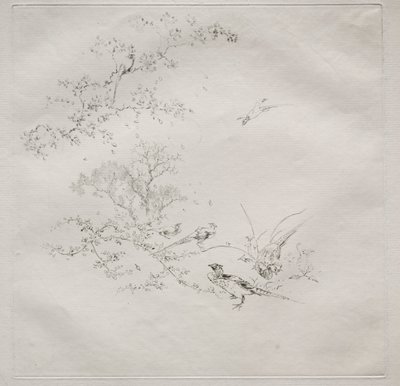 Pariisin palvelu (Haviland-palvelu): Sumu (nro 1) tekijältä Felix Bracquemond
