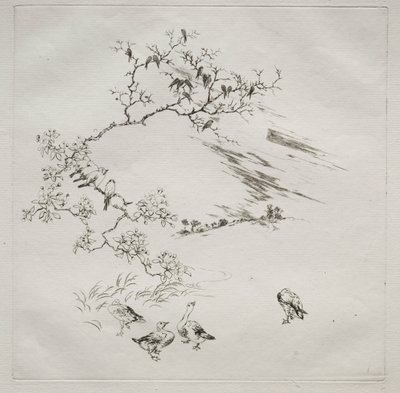 Parisian Service (Haviland Service): Yö (nro 7) tekijältä Felix Bracquemond
