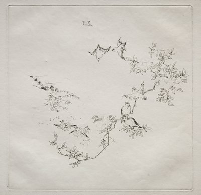 Pariisin palvelu (Haviland-palvelu): Sunrise (nro 12) tekijältä Felix Bracquemond