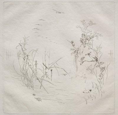 Parisian Service Haviland-palvelu: Rauhallinen no. 3, 1875. tekijältä Felix Bracquemond