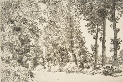 Rue des Bruyères, Sèvres, 1868. tekijältä Felix Bracquemond