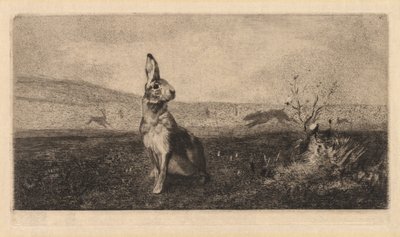 Jänis Le Hare, 1865. tekijältä Felix Bracquemond