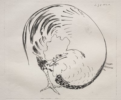 Huippupalvelu: Rooster (vastavarma) tekijältä Felix Bracquemond