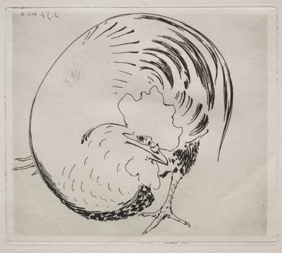Huippupalvelu: Rooster tekijältä Felix Bracquemond