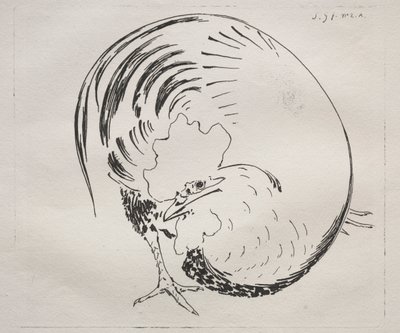 High-Fired Service: Rooster counterproof, c. 1860. tekijältä Felix Bracquemond