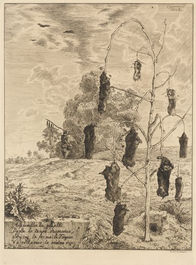 Myyrät tekijältä Felix Bracquemond
