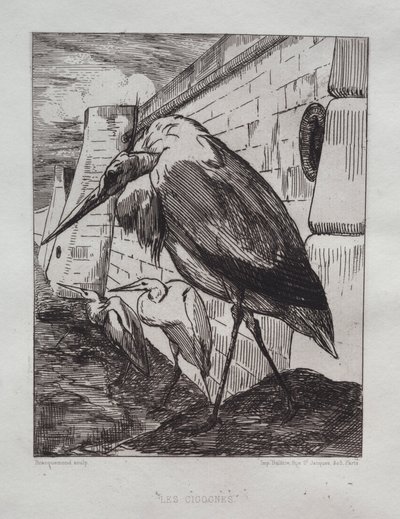 Haikarat, 1865. tekijältä Felix Bracquemond
