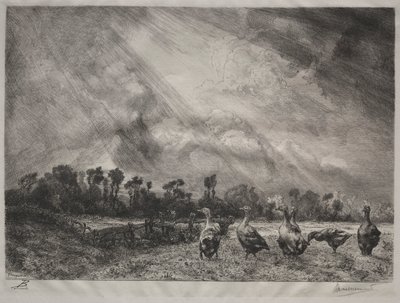 Myrskypilvi tekijältä Felix Bracquemond