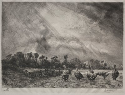 Myrskypilvi, 1878-1887. tekijältä Felix Bracquemond