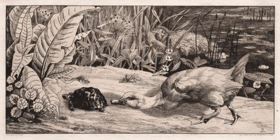 Tuntematon, 1862. tekijältä Felix Bracquemond