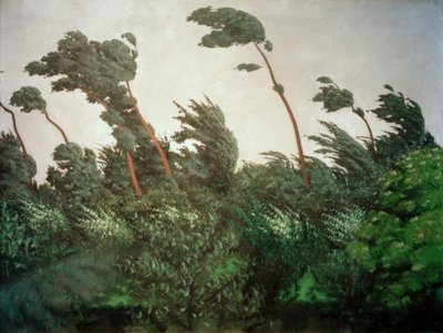Tuuli tekijältä Felix Edouard Vallotton