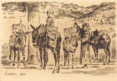 Aasinarkkia etelästä, 1873. tekijältä Felix Hilaire Buhot