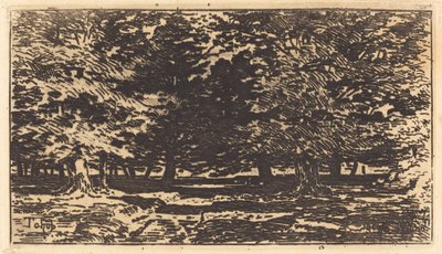 Metsä. tekijältä Felix Hilaire Buhot