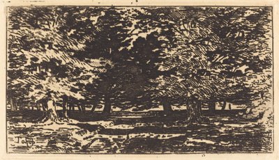 Metsä tekijältä Felix Hilaire Buhot
