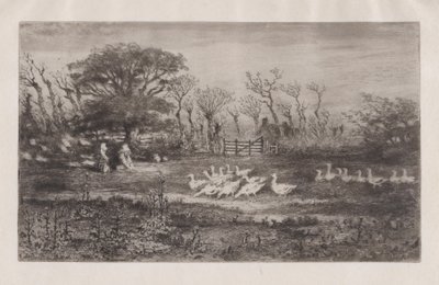 Hanhet, 1860-98. tekijältä Felix Hilaire Buhot