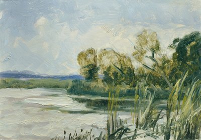 Wittingau (salkusta "16 näkymää tšekkiläisistä maisemista "Česka Krajiná") tekijältä Ferdinand Engelmuller
