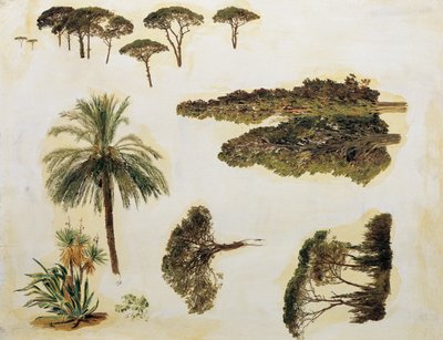 Puututkimukset Roomasta tekijältä Ferdinand Georg Waldmuller