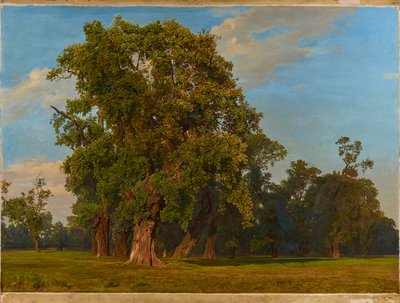 Suuri Prater maisema tekijältä Ferdinand Georg Waldmuller