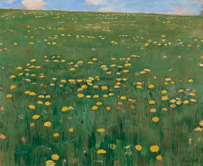Kukkaniitty, noin 1901. tekijältä Ferdinand Hodler