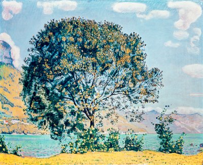 Tuntematon kuva tekijältä Ferdinand Hodler