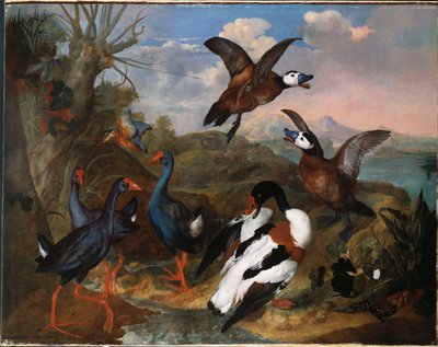 Kuoriankat ja muut linnut maisemassa, 1720 tekijältä Ferdinand Phillip de Hamilton