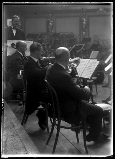 Filharmonisen orkesterin wieniläisen jäsenen jousisoitin. tekijältä Ferdinand Schmutzer