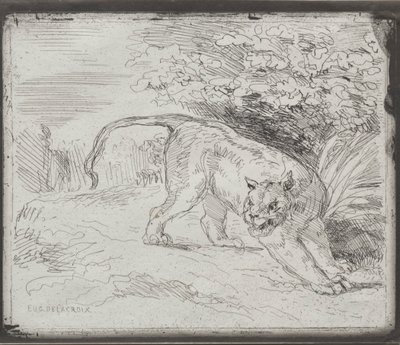 Loukkuun jäänyt tiikeri, 1854. tekijältä Ferdinand Victor Eugene Delacroix