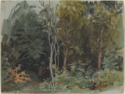 Puun reuna Nohantissa, n. 1842-1843 (akvarelli) tekijältä Ferdinand Victor Eugene Delacroix