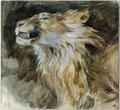 Leijonan pää (akvarelli paperille) tekijältä Ferdinand Victor Eugene Delacroix