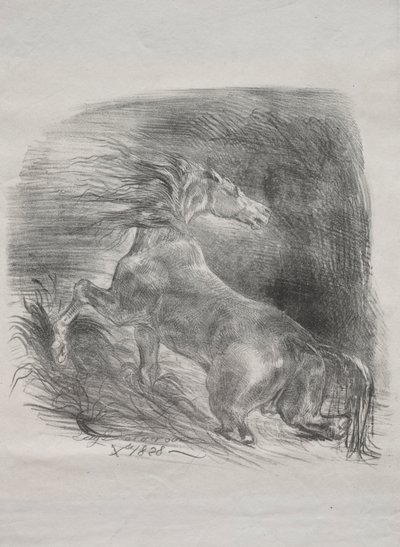 Villihevonen eli pelästynyt hevonen lähtevä vedestä, 1828. tekijältä Ferdinand Victor Eugene Delacroix