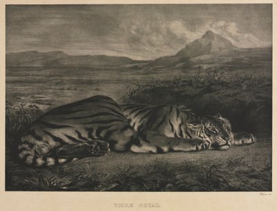 Kuninkaallinen tiikeri, 1829. tekijältä Ferdinand Victor Eugene Delacroix