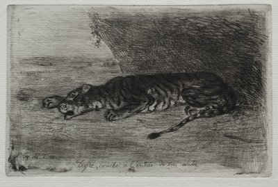 Tiikeri makaa luolansa sisäänkäynnillä. tekijältä Ferdinand Victor Eugene Delacroix