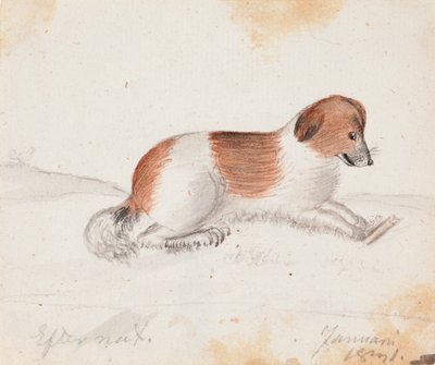 Koira tekijältä Ferdinand von Wright