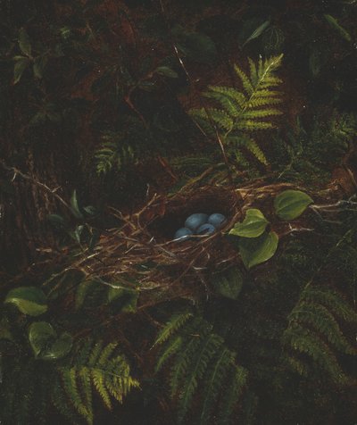 Linnunpesä ja saniaiset, 1863. tekijältä Fidelia Bridges