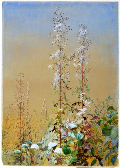 Untitled tekijältä Fidelia Bridges
