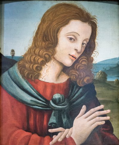 Johannes evankelista, Filippino Lippin seuraaja (öljy puulle) tekijältä Filippino Lippi