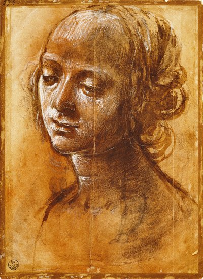 Naishahmo, Filippino Lipin (1457-n. 1504), piirustus tekijältä Filippino Lippi