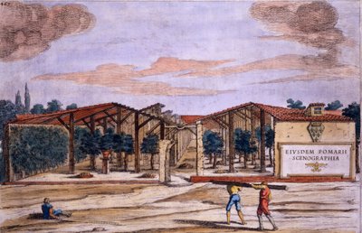 Katettu hedelmätarha, Giovanni Battista Ferrarin "Hesperides", kaiverrus Camillo Congio (fl.1630), julkaistu 1646 tekijältä Filippo Gagliardi