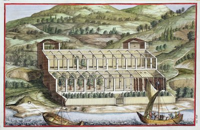 Kasvihuoneen rakenne, Giovanni Battista Ferrarin "Hesperides", kaiverrus Cammillo Congio (fl.1630), julkaistu 1646 tekijältä Filippo Gagliardi