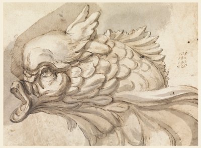 Piirros, delfiinin pää, n. 1775. tekijältä Filippo Marchionni