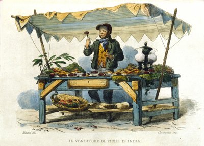 Napolin kaupungin pieni yritys: piikkien tappien myyjä. Kaiverrus F. Palizzan maalauksen jälkeen. Francesco de Bourcardin teoksesta "" Costumi del regno di Napoli"" tekijältä Filippo Palizzi