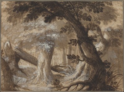 Metsän sisustus tekijältä Flemish 17th Century