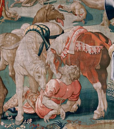 Flanderin kuvakudos. Sarja Herkuleen työt. Diomedesin hevoset (Los caballos de Diomedes). Kolmas kuvakudos säilyneestä sarjasta. Malli Tuntematon. Valmistus Willem Dermoyen, Bryssel. Ca1528. Kangas Silkki ja villa. Koko 350 x 400 cm. Sijainti Royal tekijältä Flemish School