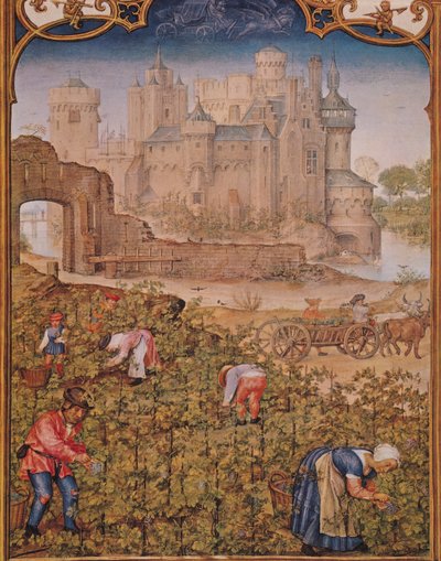 Fol.9v Syyskuu: Viinisato, Breviarium Grimanista, n. 1515 tekijältä Flemish School
